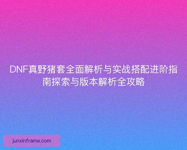 DNF真野猪套全面解析与实战搭配进阶指南探索与版本解析全攻略